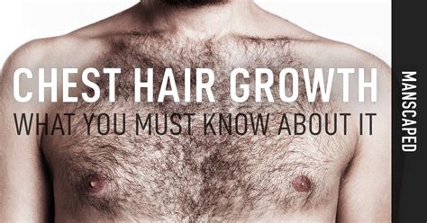 man hairy chest|Let It Grow: Why You Should Rock A Hairy Chest This Season.